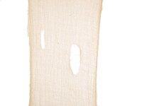 EUROPALMS Halloween Dekostoff, grobmaschig, beige, 75x300cm
